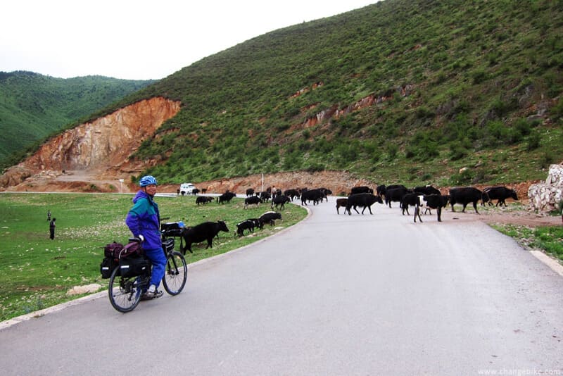 changebike adventure bike tours yunnan napa lake