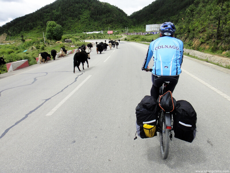 changebike travel bike yunnan Shangri-La