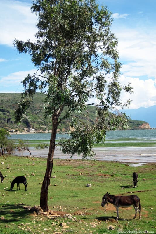 changebike adventure bike tours yunnan erhai