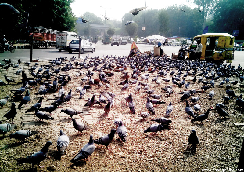 cycle europe changebike delhi india