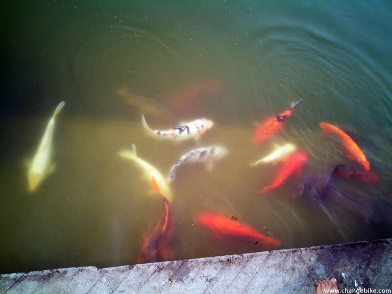bike tours changebike gurudwara bangla sahib india